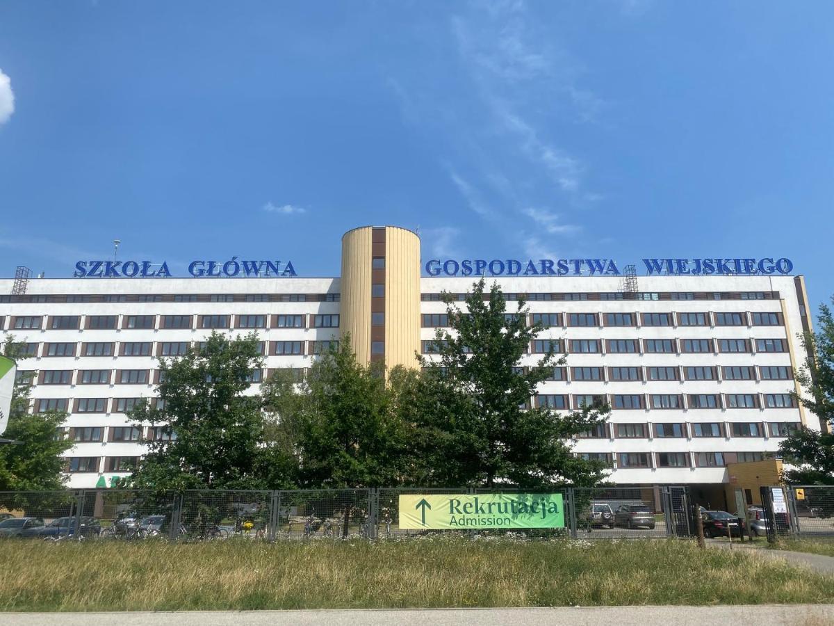 Polinezyjska Homestay Warsaw